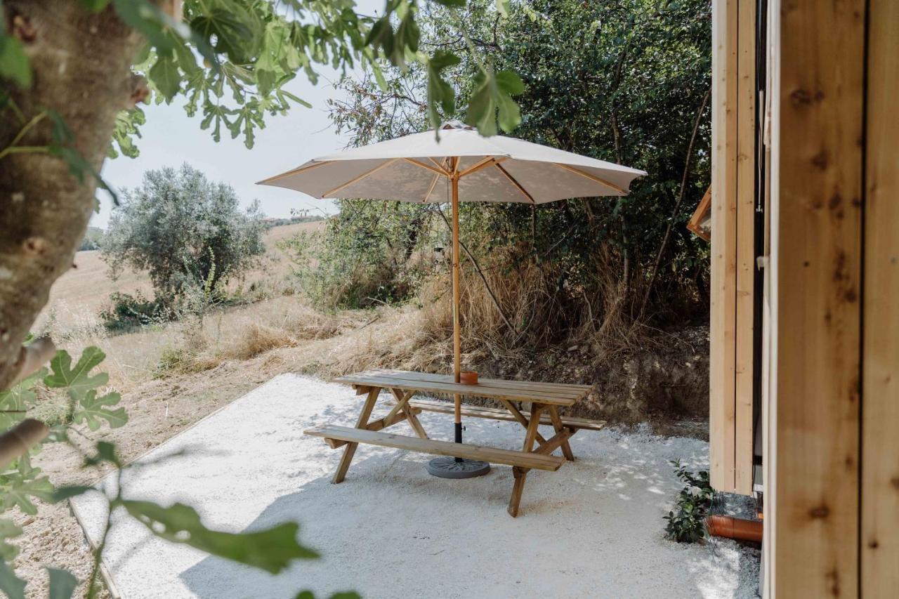 Agriturismo Qui Voglio 蒙特罗伯托 外观 照片