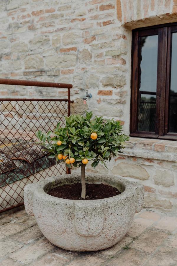 Agriturismo Qui Voglio 蒙特罗伯托 外观 照片