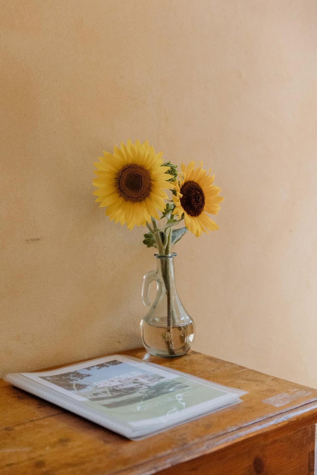 Agriturismo Qui Voglio 蒙特罗伯托 外观 照片